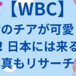 台湾チア可愛くて人気