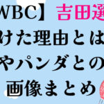 WBCと吉田選手こけた理由