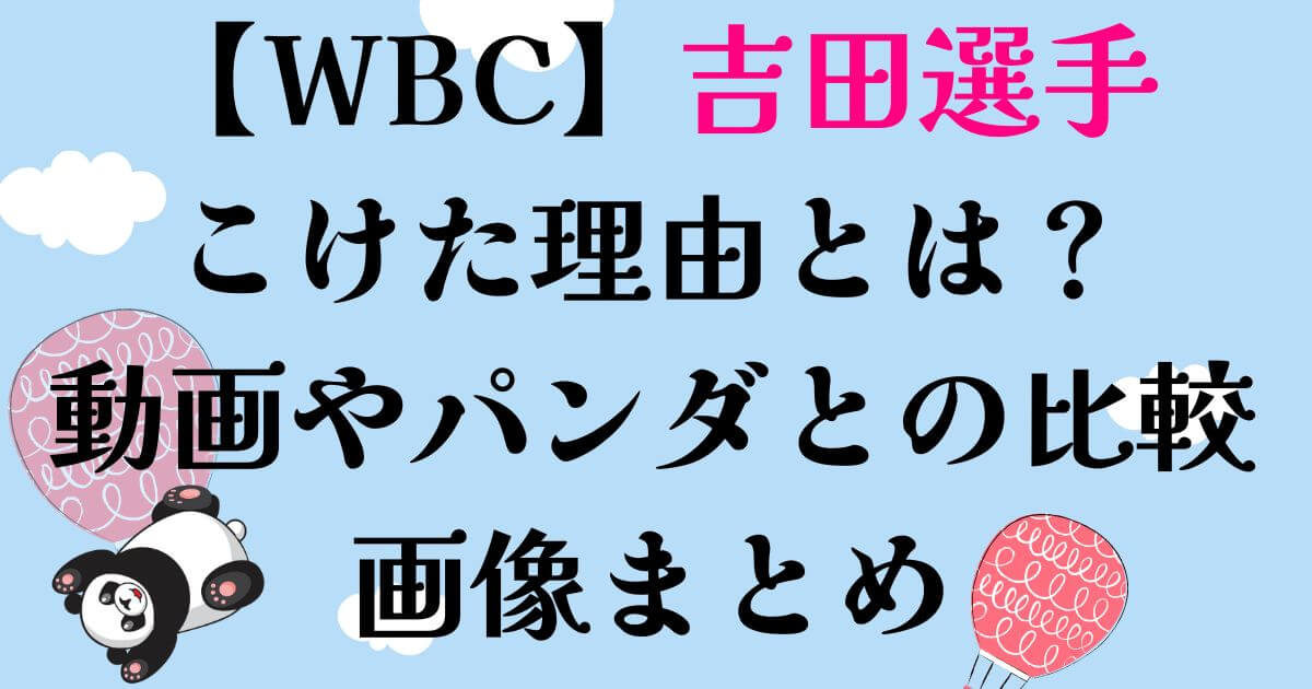 WBCと吉田選手こけた理由