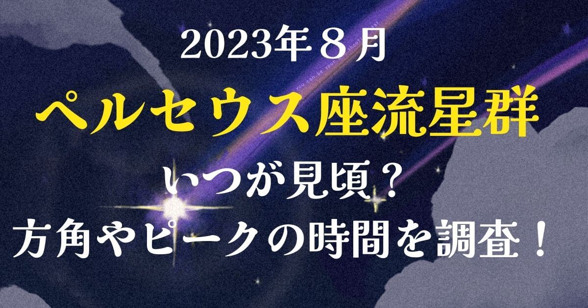 2023年8月ペルセウス座流星群