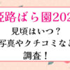 姫路ばら園2023見頃