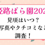 姫路ばら園2023見頃