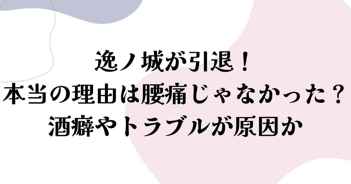 逸ノ城引退理由