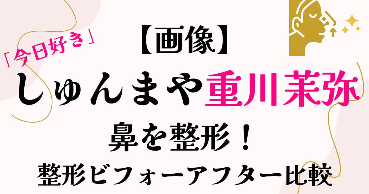 今日好きしゅんまや重川茉弥鼻を整形