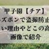 甲子園チア半ズボン理由とどこの高校か紹介