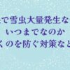 札幌で雪虫大量発生なぜ？いつまでなのか服につく対策など調査！