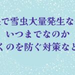 札幌で雪虫大量発生なぜ？いつまでなのか服につく対策など調査！