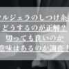 マルジェラのしつけ糸はどうするのが正解？切っても良いのか意味はあるのか調査！